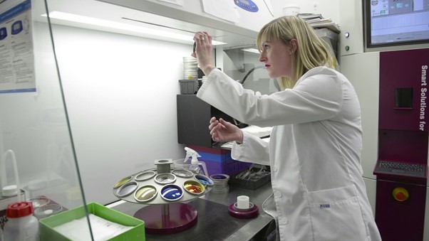 pharmacist checking lens