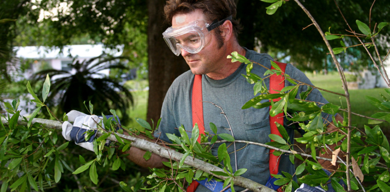 A person mowing the lawn